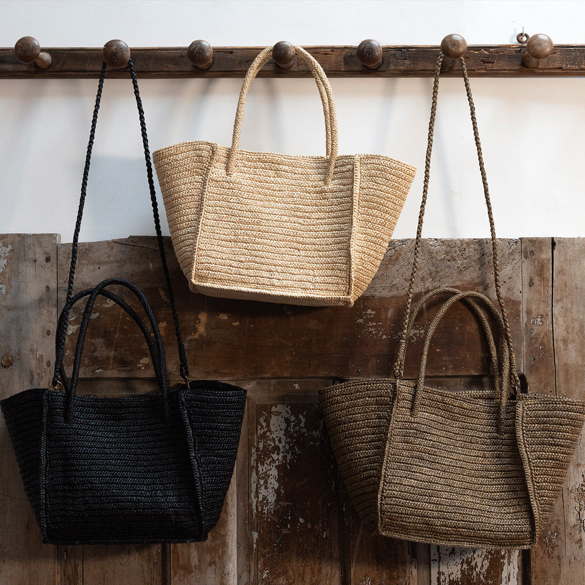 AVRIL PETIT-SUCRE BRUN