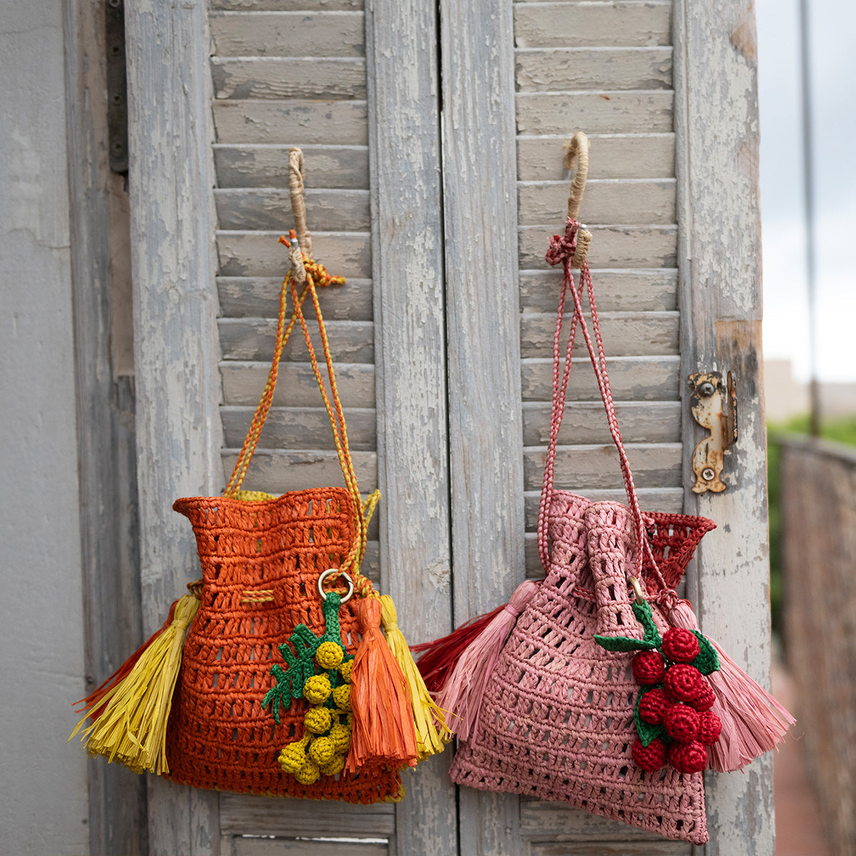 ROXANE avec CHARM-POMME/ROSE
