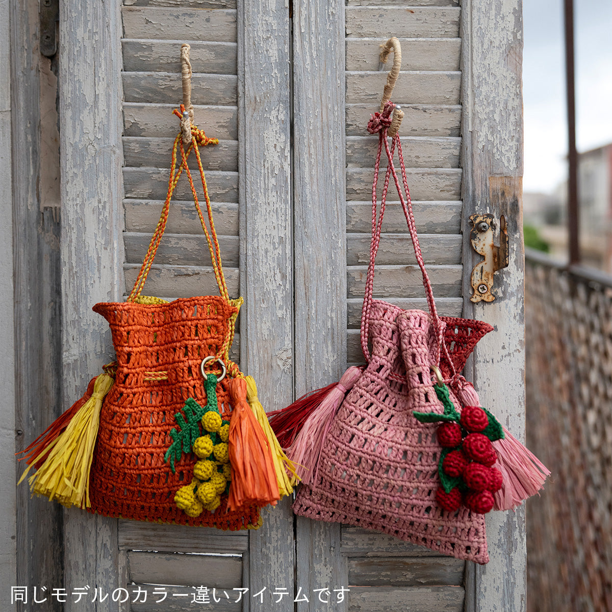 ROXANE avec CHARM-NOIR/FIGUE