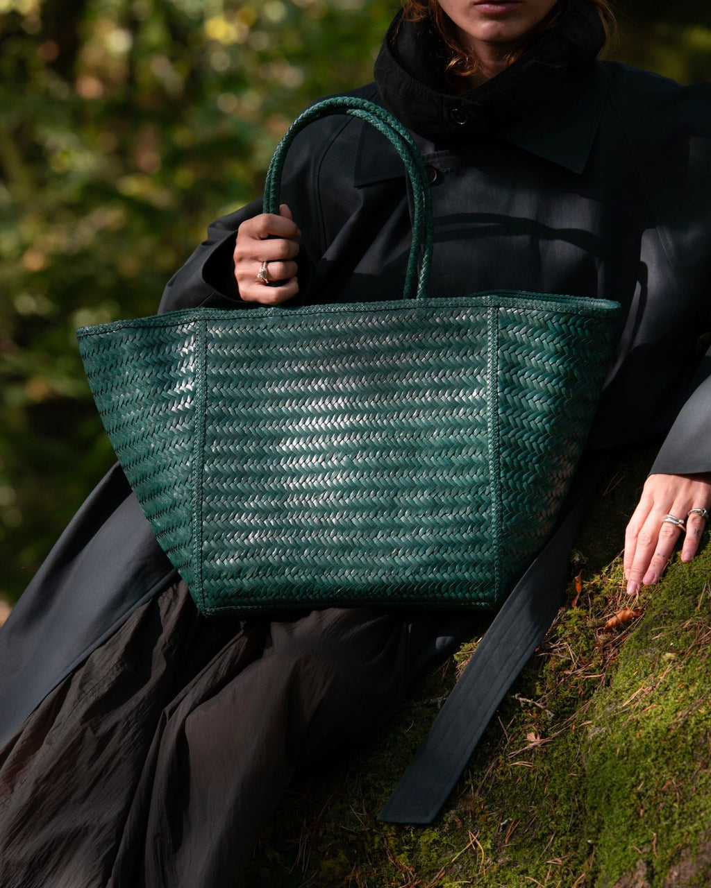 JANVIER CUIR GRAND FOREST